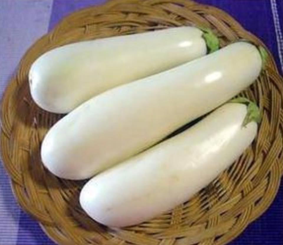 「白い茄子」があるのをご存知ですか