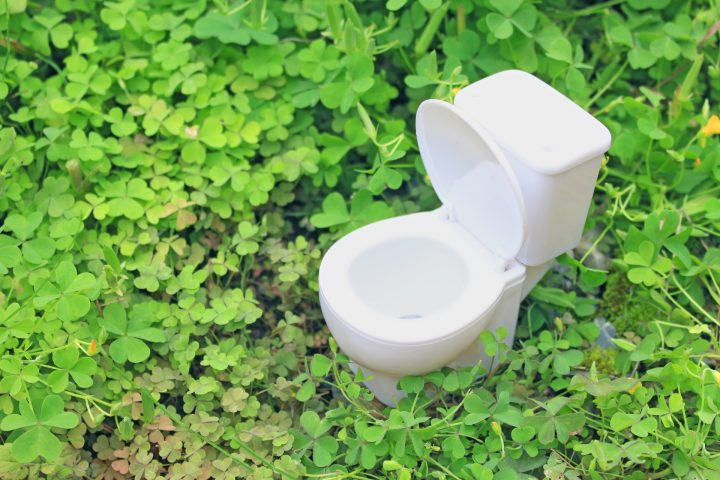 おしゃれトイレ