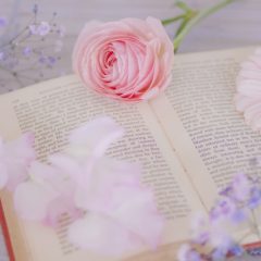 ピンクの花と見開きの本